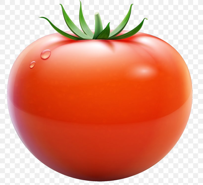 Tomato Vegetable, PNG, 1719x1570px, Tomato, Bush Tomato, Diet Food, Food, Fruit Download Free