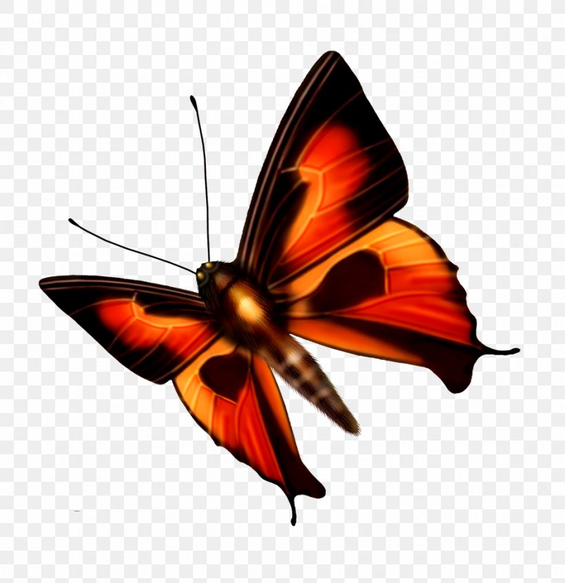 Butterfly Dragonfly, PNG, 938x969px, Butterfly, Arthropod, Brush Footed Butterfly, Dragonfly, Drawing Download Free