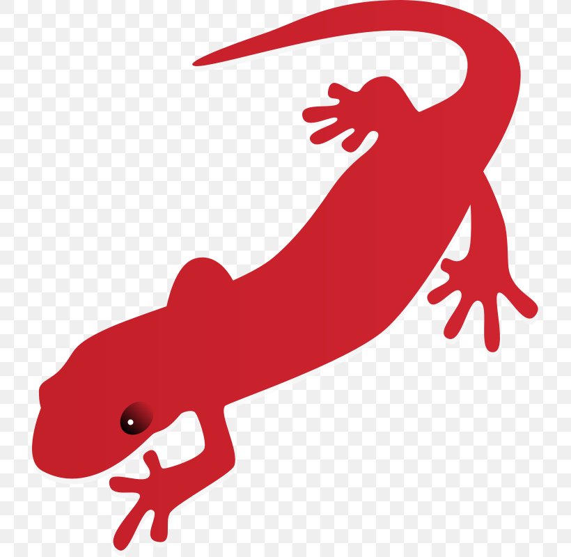 Fire Salamander Newt Free Content Clip Art, PNG, 727x800px, Salamander, Amphibian, Animal Figure, Blog, Computer Download Free