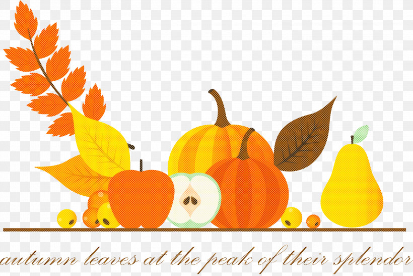 Happy Thanksgiving Happy Thanksgiving Background, PNG, 2999x2001px, Happy Thanksgiving, Birthday, Gourd, Happy Thanksgiving Background, Holiday Download Free