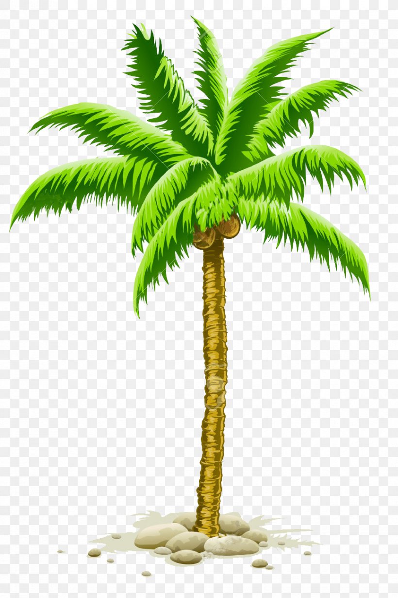 Vector Graphics Clip Art Palm Trees Illustration Royalty-free, PNG, 866x1300px, Palm Trees, Arecales, Attalea Speciosa, Borassus Flabellifer, Coconut Download Free