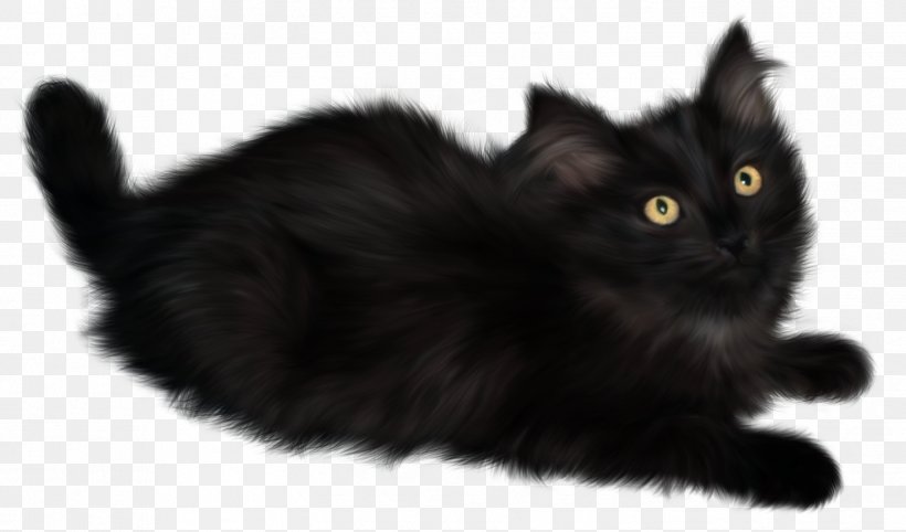 Cat Kitten Clip Art, PNG, 1451x854px, Cat, Asian Semi Longhair, Black, Black And White, Black Cat Download Free