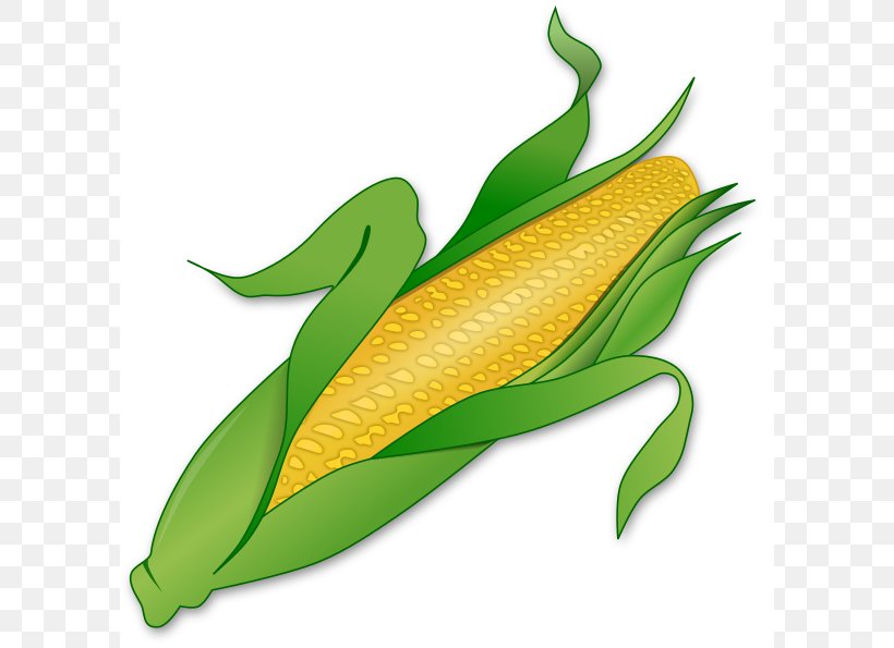 Corn On The Cob Candy Corn Maize Sweet Corn Clip Art, PNG, 600x595px, Corn On The Cob, Candy Corn, Commodity, Corncob, Food Download Free