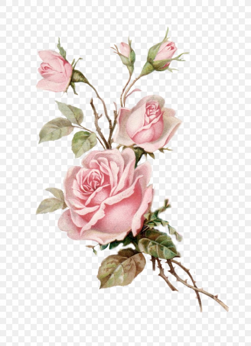 Flower Bouquet Garden Roses Floral Design, PNG, 1470x2030px, Flower, Art, Artificial Flower, Botanical Illustration, Branch Download Free