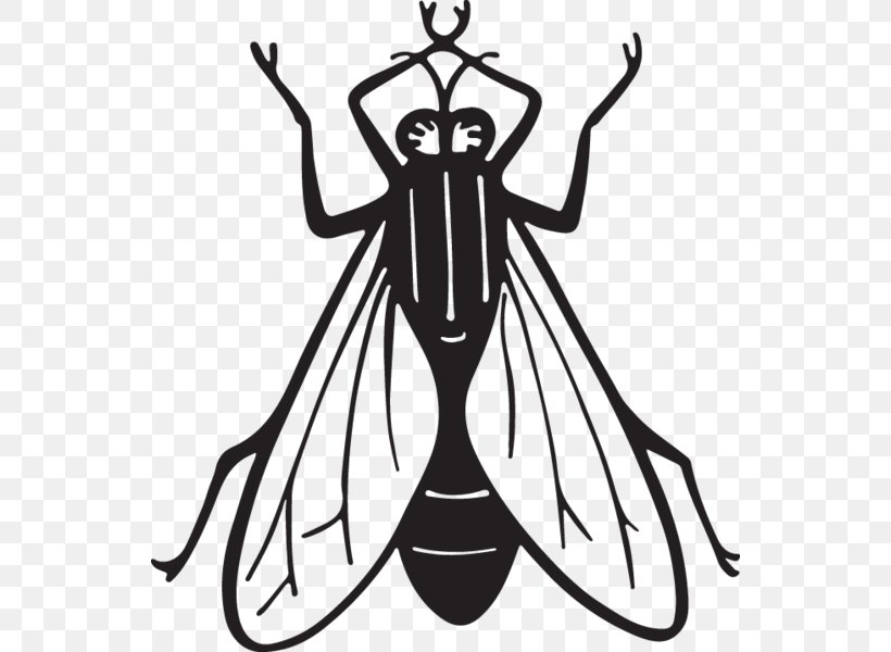 Insect Clip Art Fly Image Drawing, PNG, 542x600px, Insect, Blackandwhite, Cartoon, Coloring Book, Drawing Download Free