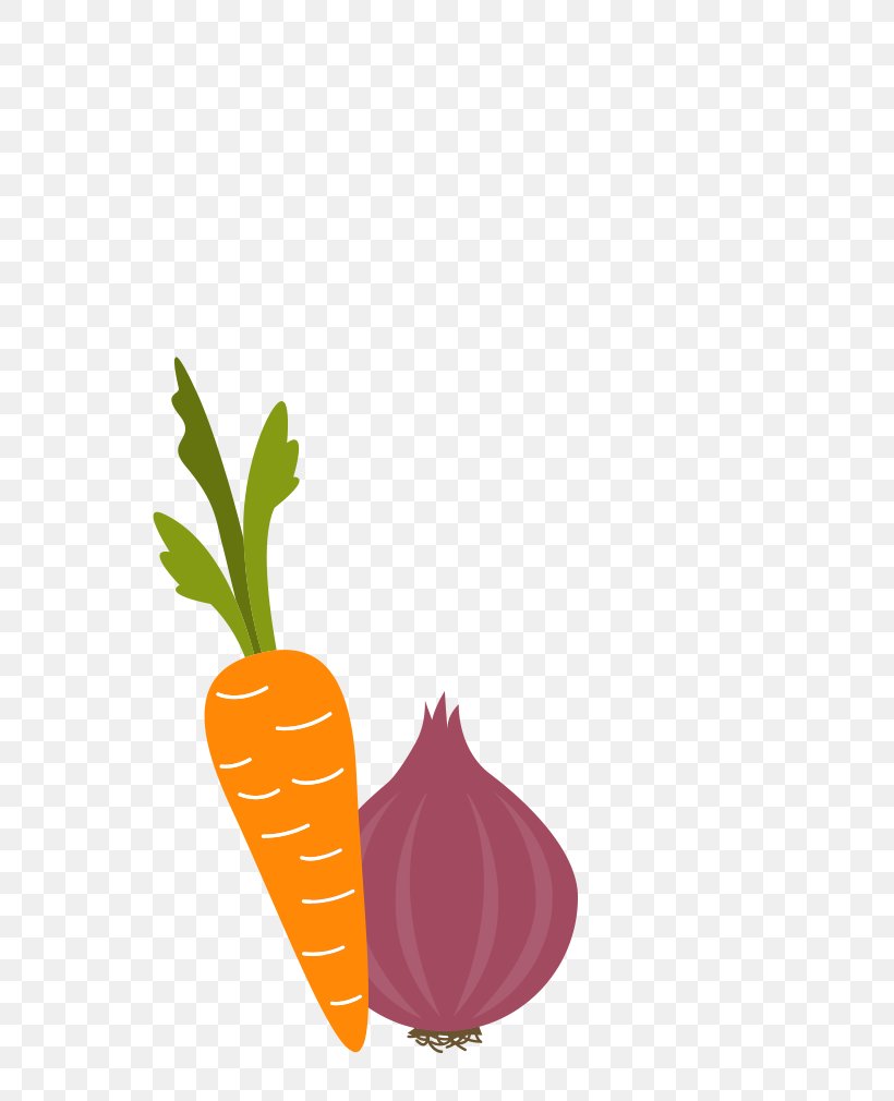 Carrot Vegetable Drawing Onion Cartoon, PNG, 640x1010px, Carrot, Animation, Cartoon, Daucus Carota, Drawing Download Free
