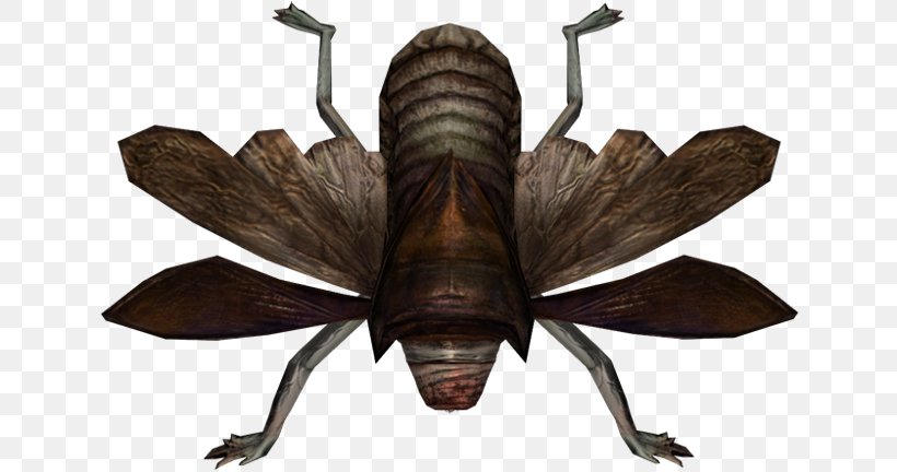 Silent Hill: Book Of Memories Silent Hill: Homecoming Wiki Image, PNG, 640x432px, Silent Hill Book Of Memories, Arthropod, Fandom, Human Mouth, Insect Download Free