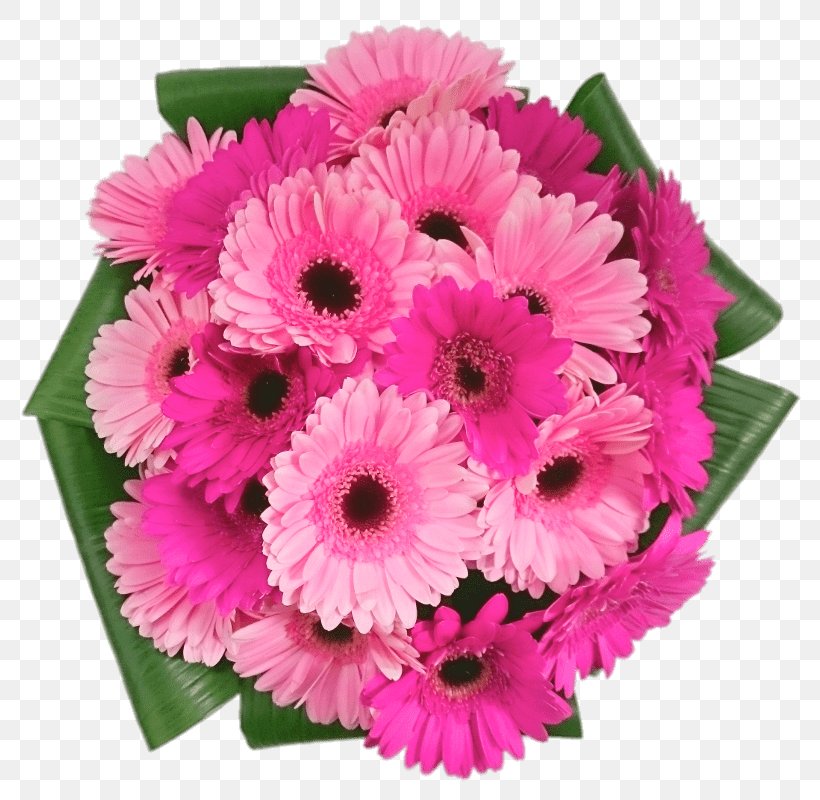 Transvaal Daisy Cut Flowers Flower Bouquet Floral Design, PNG, 800x800px, Transvaal Daisy, Annual Plant, Artificial Flower, Aster, Cerise Download Free