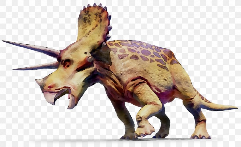 Triceratops Dinosaur GIF Tyrannosaurus Geography Clipart, PNG, 1655x1010px, Triceratops, Animal Figure, Dinosaur, Geography, Geography Clipart Download Free