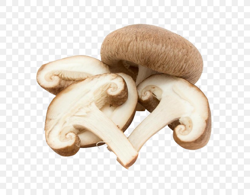 Common Mushroom Edible Mushroom Fungus Vegetable, PNG, 640x640px, Common Mushroom, Agaricaceae, Agaricomycetes, Agaricus, Champignon Mushroom Download Free
