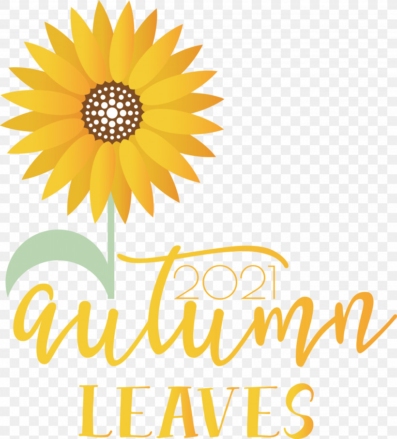 Autumn Leaves Autumn Fall, PNG, 2712x3000px, Autumn Leaves, Autumn, Cut Flowers, Daisy Family, Fall Download Free
