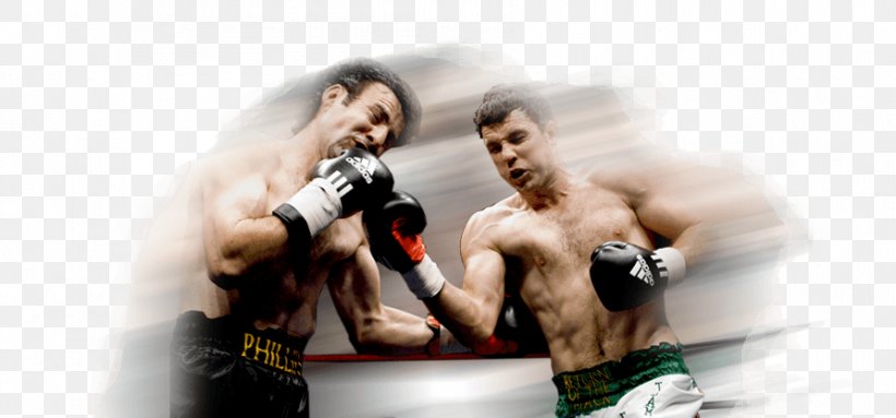 Boxing Sports School Sochi Pradal Serey, PNG, 892x417px, Boxing, Aggression, Association, Boxing Glove, Coach Download Free