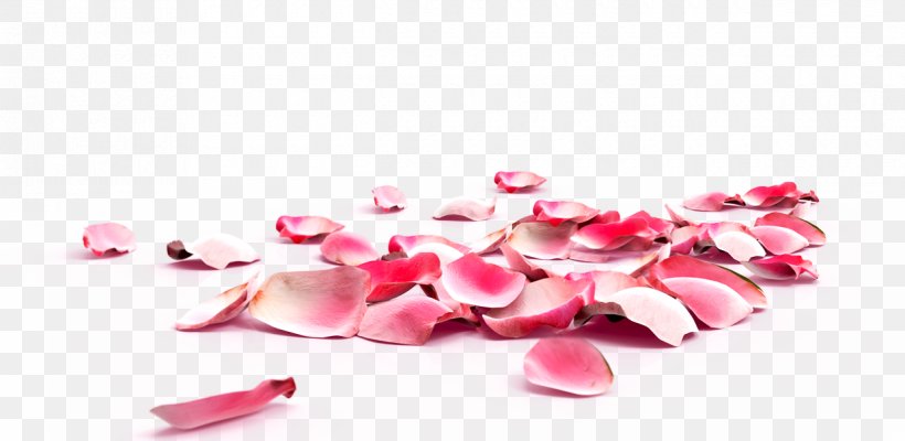Exfoliation Skin Callus Foot Rose, PNG, 1240x606px, Exfoliation, Callus, Cosmetics, Flower, Foot Download Free
