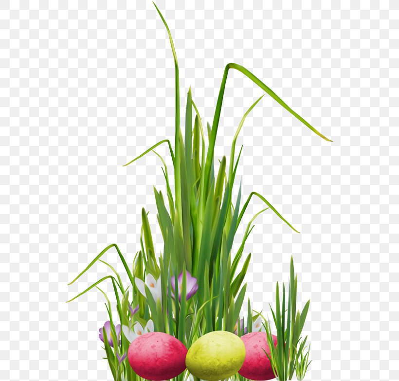 Flower Herbaceous Plant Lawn Clip Art, PNG, 550x783px, Flower, Aquarium Decor, Easter, Easter Egg, Grass Download Free