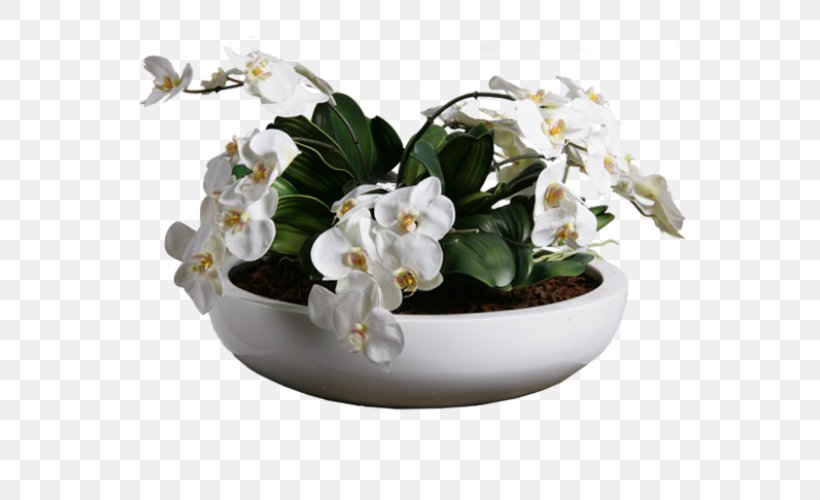 Flowerpot Orchids Plant Cut Flowers White, PNG, 700x500px, Flowerpot, Agave, Alocasia, Artificial Flower, Cut Flowers Download Free