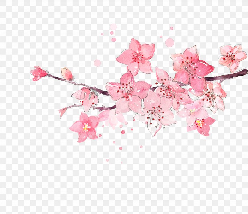 Peach Flower, PNG, 2776x2392px, Peach, Blossom, Cherry Blossom, Color, Floral Design Download Free