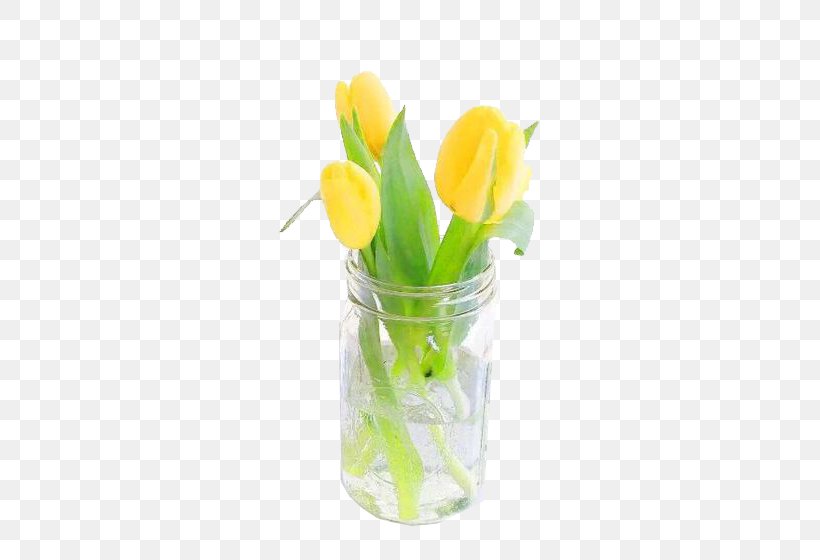 Tulip Flower Floral Design, PNG, 560x560px, Tulip, Cut Flowers, Designer, Floral Design, Flower Download Free