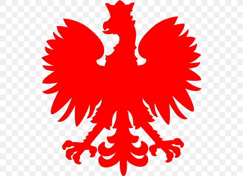 Coat Of Arms Of Poland Flag Of Poland Clip Art, PNG, 540x596px, Poland, Artwork, Beak, Black And White, Chicken Download Free