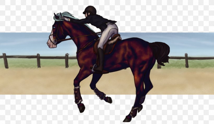 Hunt Seat Stallion Dressage Horse Rein Png 1024x593px Hunt Seat