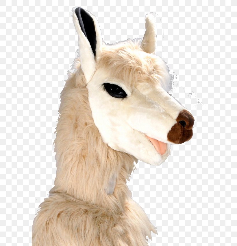 Llama Alpaca Costume Mascot Goat, PNG, 600x850px, Llama, Alpaca, Alpaca Fiber, Camel Like Mammal, Costume Download Free