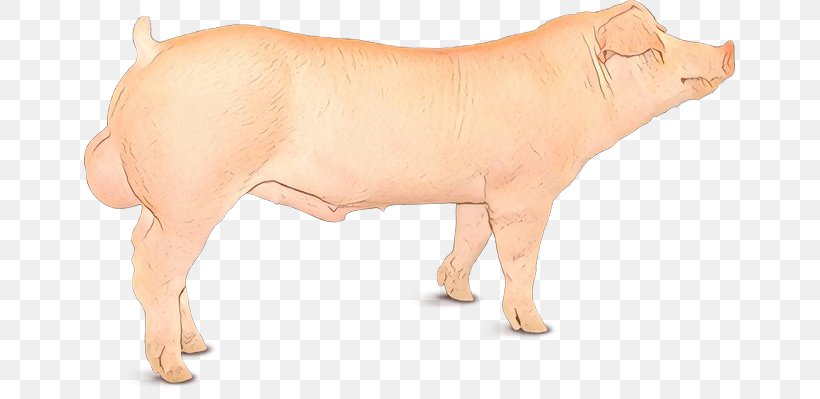 Animal Figure Livestock Snout Bovine Fawn, PNG, 651x399px, Cartoon, Animal Figure, Bovine, Fawn, Livestock Download Free