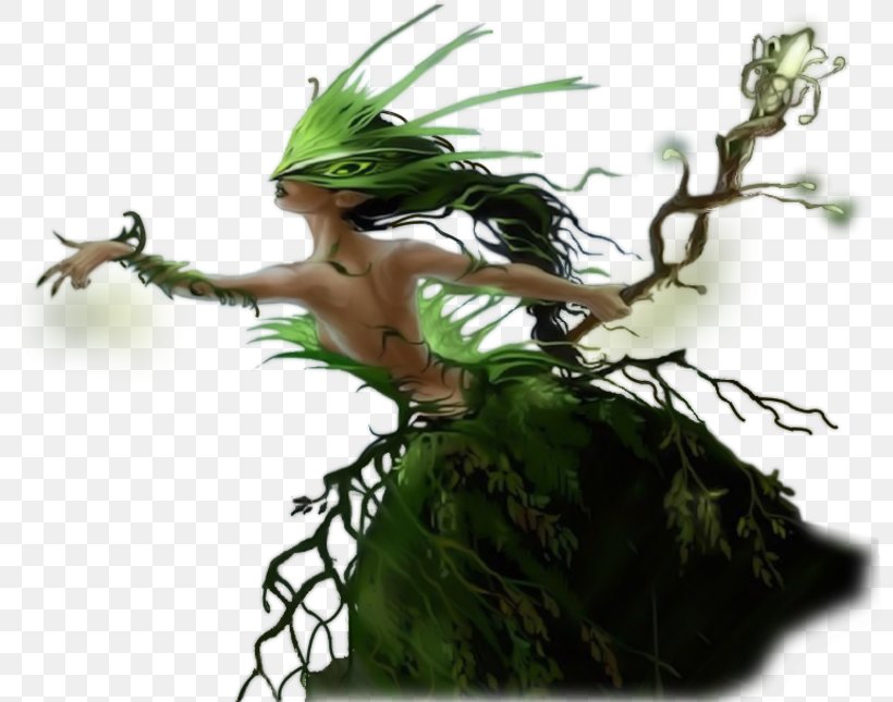 Branch Fairy, PNG, 800x645px, Branch, Blog, Druid, Fairy, Fictional Character Download Free
