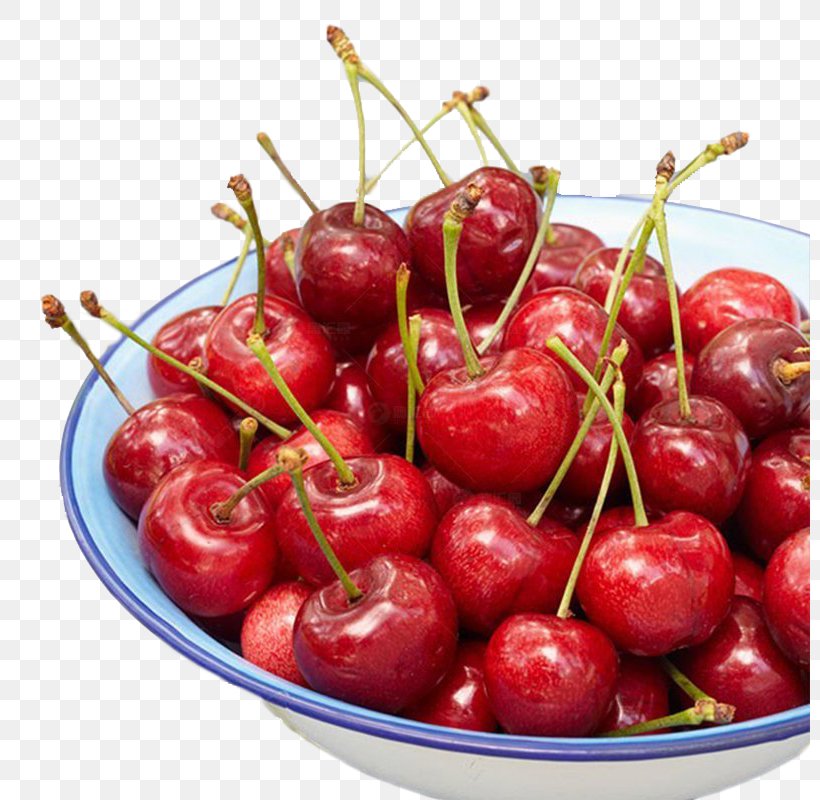 Cherry Fruit, PNG, 800x800px, Cherry, Auglis, Cerasus, Diagram, Food Download Free
