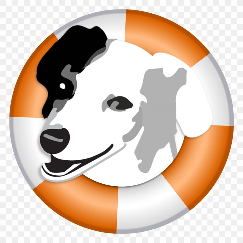 Puppy Rescue Dog Adoption Animal Rescue Group, PNG, 1600x1600px, Puppy, Adoption, Animal Rescue Group, Ball, Carnivoran Download Free