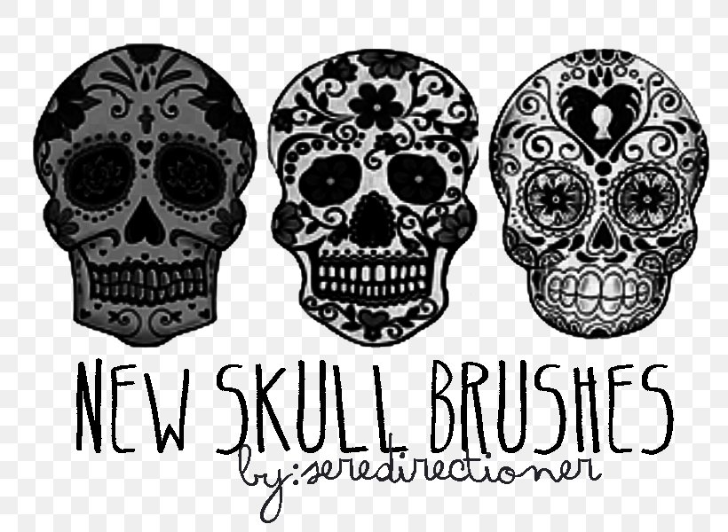 Calavera Skull Bone Day Of The Dead Drawing, PNG, 800x600px, Calavera, Anatomy, Art, Bone, Brand Download Free