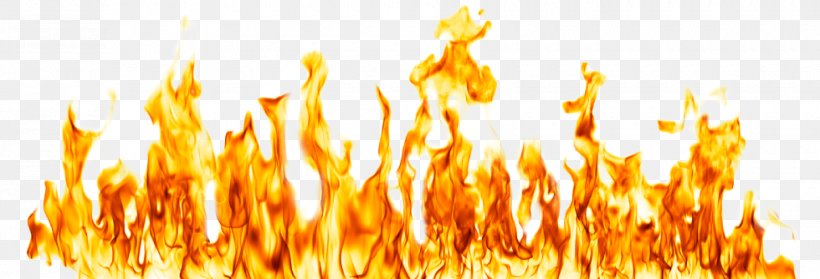 Fire Flame Clip Art, PNG, 980x334px, Fire, Commodity, Display Resolution, Flame, Grass Family Download Free