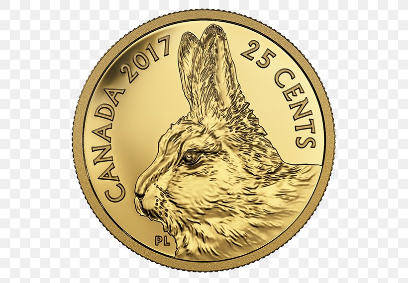 Gold Coin Canada Gold Coin Royal Canadian Mint, PNG, 570x570px, Coin, Canada, Canadian Gold Maple Leaf, Canadian Maple Leaf, Canadian Platinum Maple Leaf Download Free
