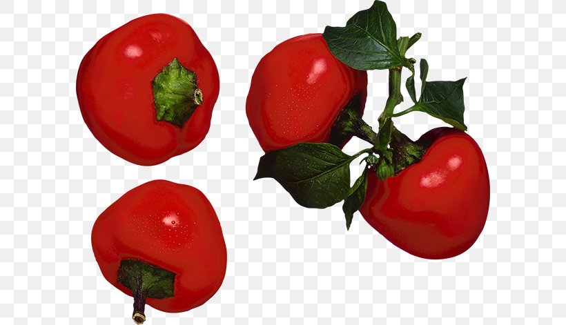 Capsicum Annuum Vegetable Food Fruit Chili Pepper, PNG, 600x471px, Capsicum Annuum, Acerola, Acerola Family, Apple, Bell Pepper Download Free