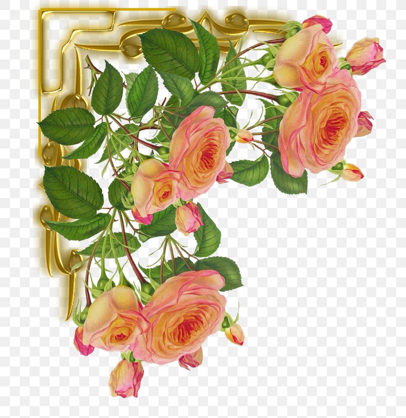 Cut Flowers Garden Roses Color Pin, PNG, 760x844px, Flower, Ansichtkaart, Artificial Flower, Begonia, Color Download Free