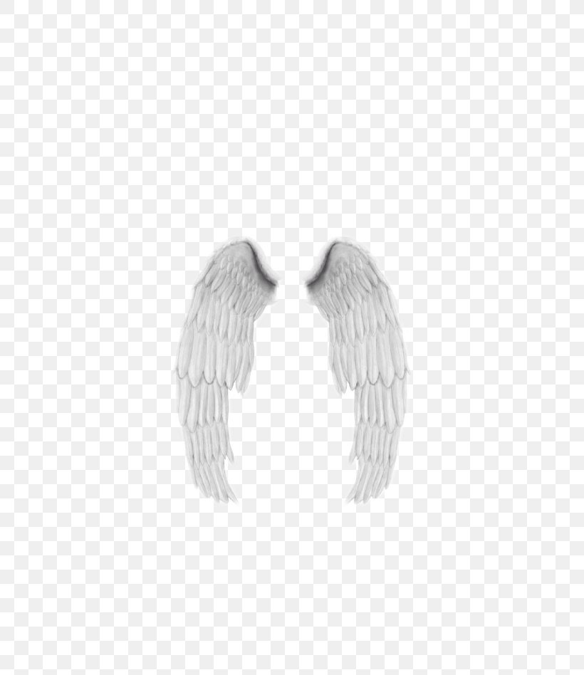Doll Angel Wings Feather Polyvore, PNG, 640x948px, Doll, Angel Wings, Art Doll, Babydoll, Bird Download Free