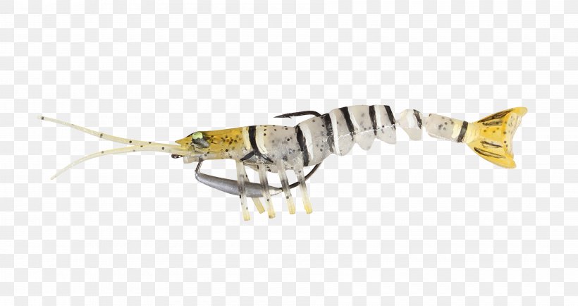 Fishing Baits & Lures Thermoplastic Elastomer Shrimp, PNG, 3600x1908px, Fishing Baits Lures, Angling, Animal, Bait, Fish Download Free