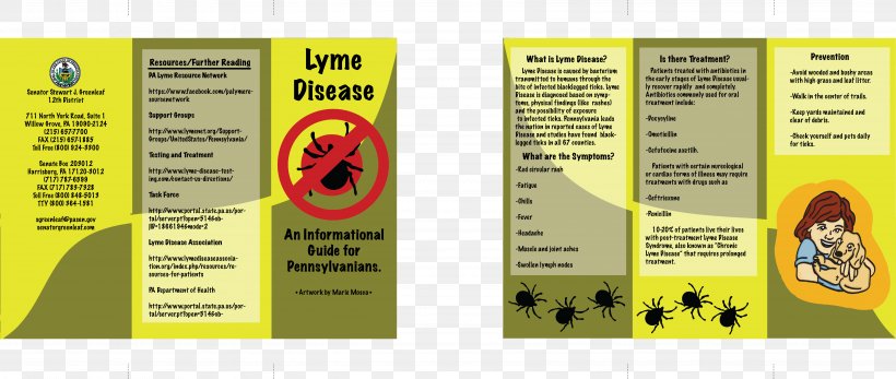 Lyme Disease Brochure Pamphlet Anxiety, PNG, 6758x2860px, Disease, Advertising, Anxiety, Anxiety Disorder, Brand Download Free