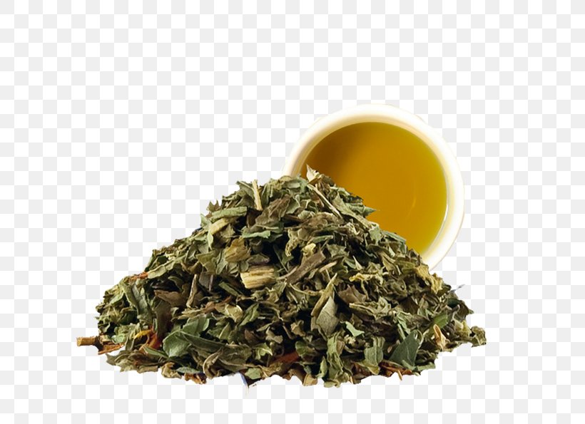 Nilgiri Tea Hōjicha Tea Bag Peppermint, PNG, 638x595px, Nilgiri Tea, Aroma, Assam Tea, Bag, Bai Mudan Download Free
