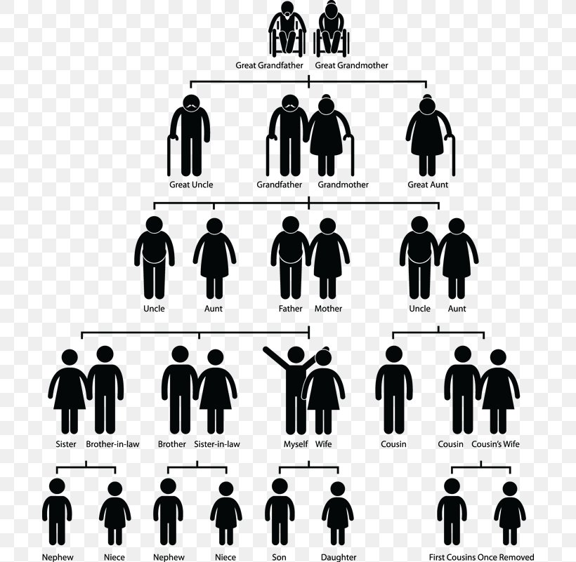 Family Tree Symbol Sign, PNG, 700x801px, Family Tree, Black And White, Brand, Family, Gender Symbol Download Free