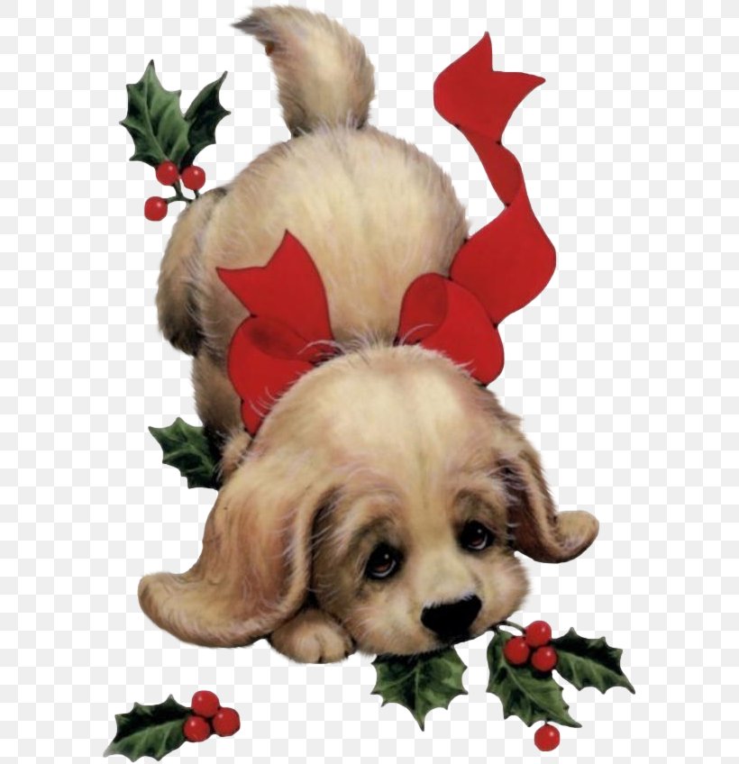 Puppy Santa Claus Dog Christmas Card, PNG, 593x848px, Puppy, Carnivoran, Child, Christmas, Christmas Card Download Free