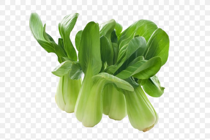 Spring Greens Chinese Cuisine Tang Frères Komatsuna Shiitake, PNG, 849x566px, Spring Greens, Allium Fistulosum, Bok Choy, Chinese Broccoli, Chinese Cuisine Download Free