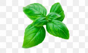Vegetable - Basil Stock Photography Herb Royalty-free PNG