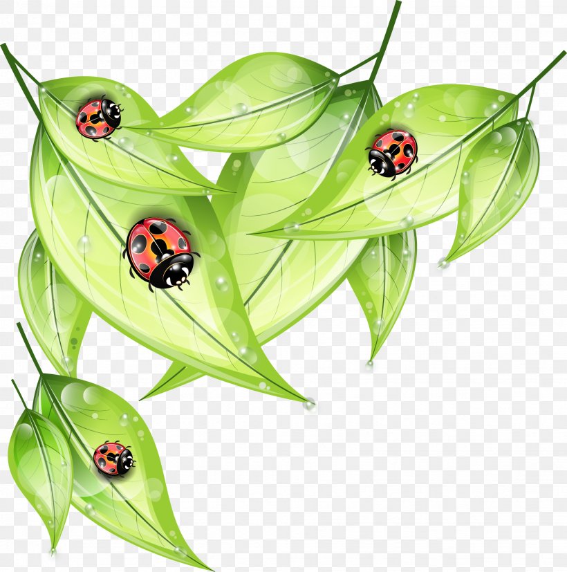 Ladybird, PNG, 1837x1853px, Ladybird, Amphibian, Coccinella Septempunctata, Frog, Fruit Download Free