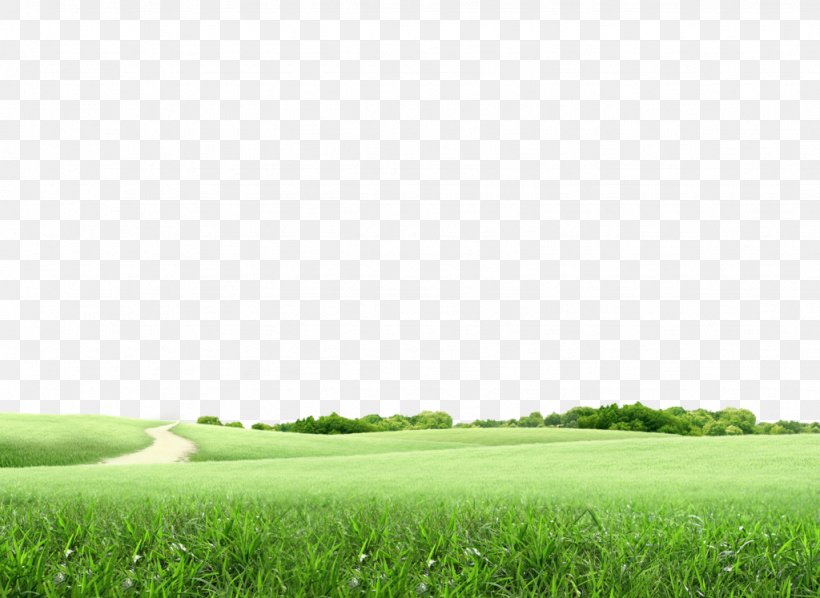 Lawn Golf Course Landscape Architecture, PNG, 1024x747px, Lawn, Agriculture, Crop, Energy, Field Download Free