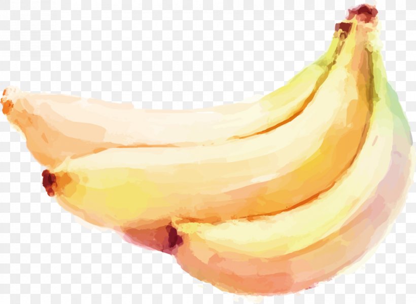 Watercolor Painting Auglis Banana Vegetable, PNG, 942x690px, Watercolor Painting, Auglis, Banana, Banana Family, Colored Pencil Download Free