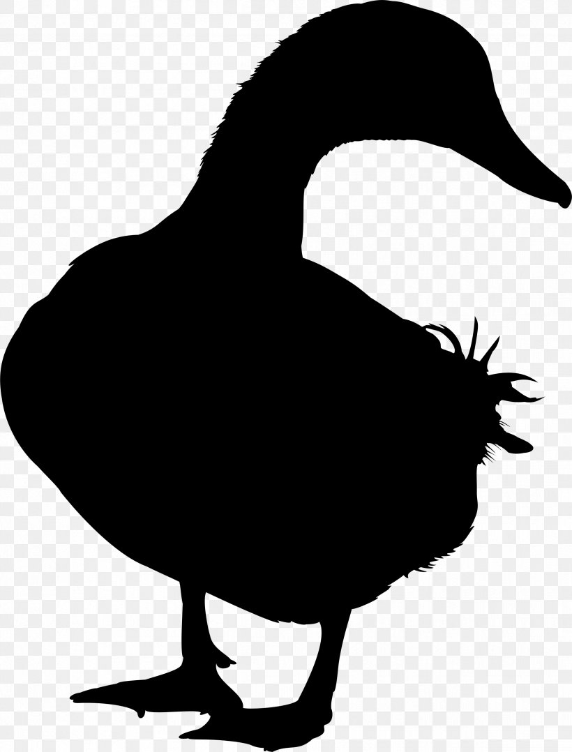 Duck Goose Silhouette Vector Graphics Image, PNG, 2429x3194px, Duck, Alamy, Animal, Art, Beak Download Free