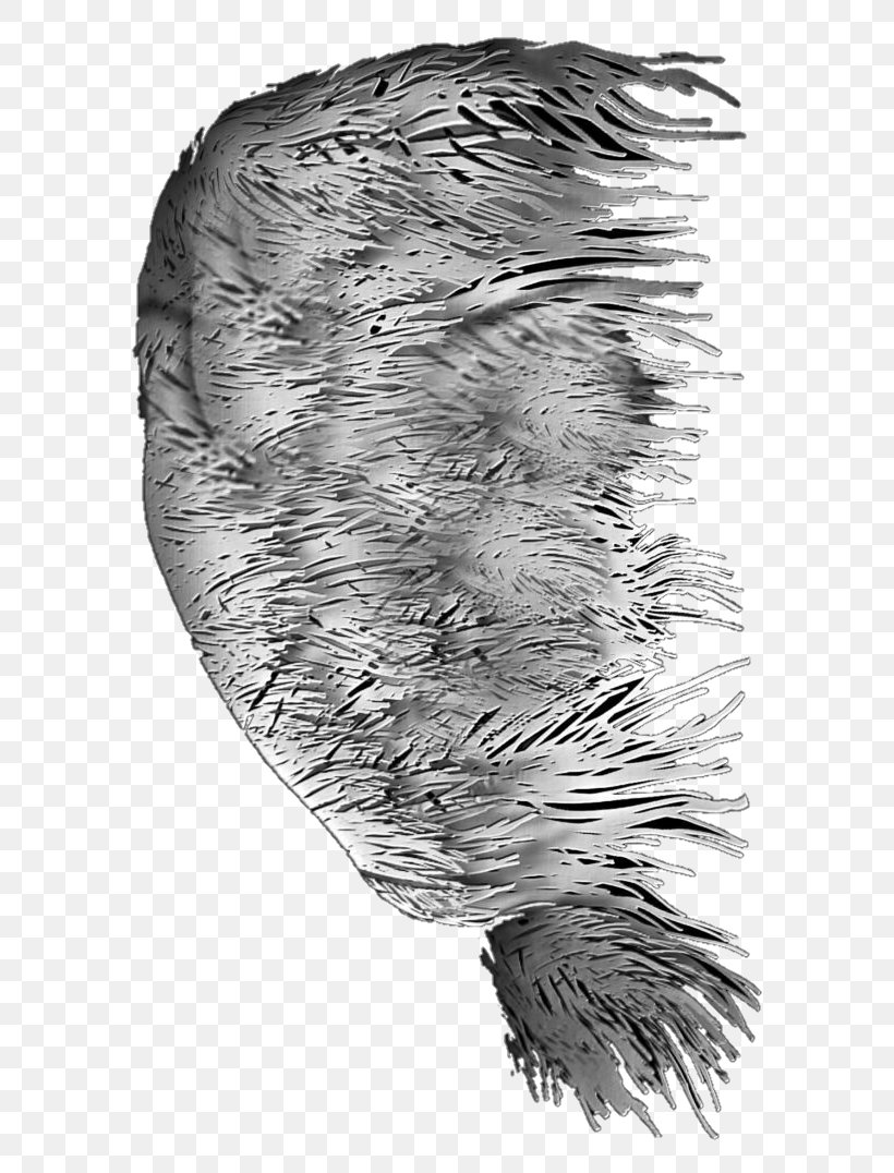 Feather Fur Beak White Tail, PNG, 640x1076px, Feather, Beak, Black And White, Fur, Monochrome Download Free