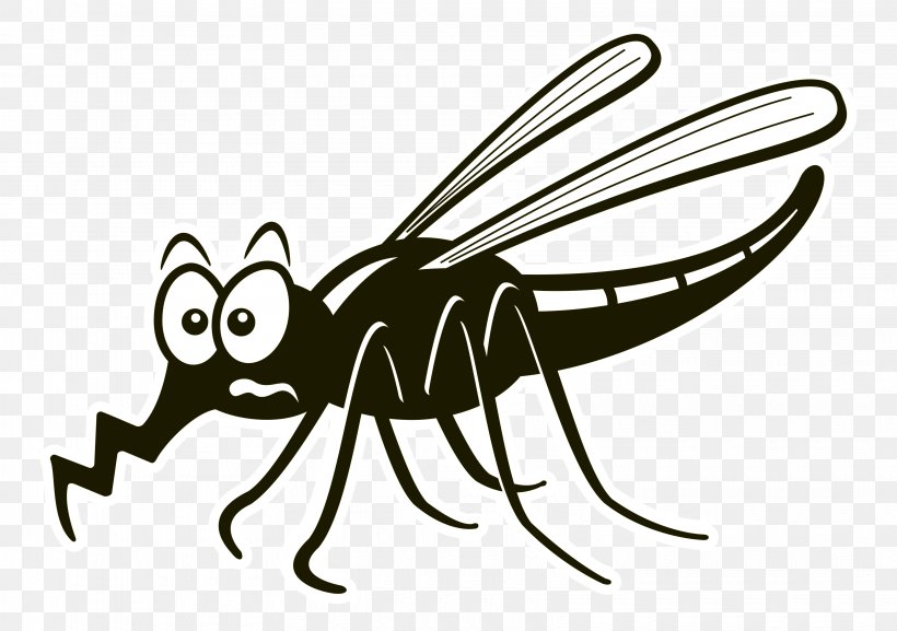 Insect Line Art Clip Art, PNG, 3240x2280px, Insect, Animal, Arthropod, Artwork, Black And White Download Free