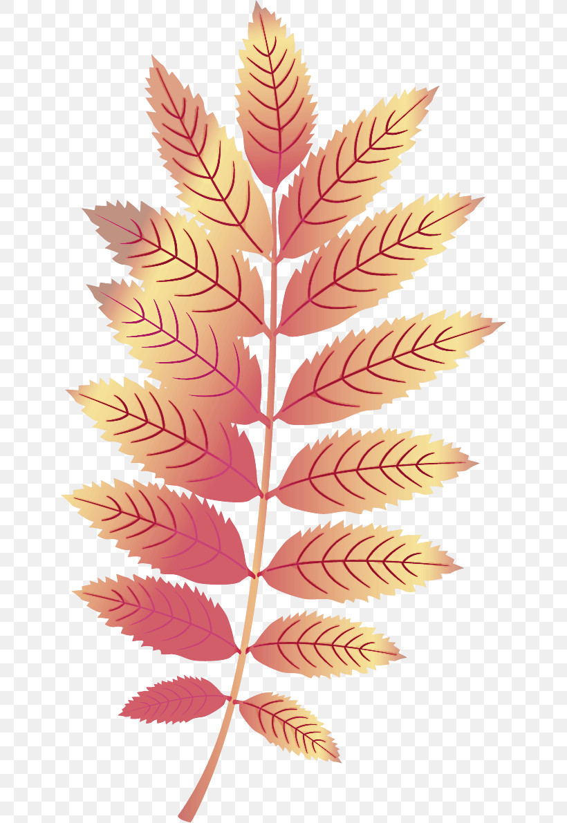 Maple Leaf, PNG, 643x1191px, Leaf, Cartoon, Maple Leaf, Plants, Vector Download Free