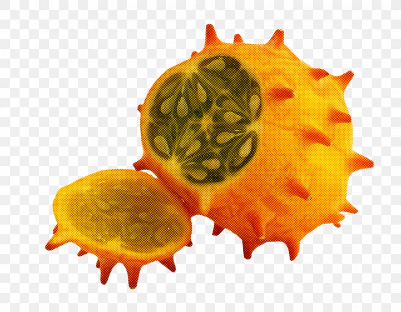 Pitahaya Yellow Fruit Cucumis Horned Melon, PNG, 2264x1767px, Pitahaya, Cucumis, Food, Fruit, Horned Melon Download Free