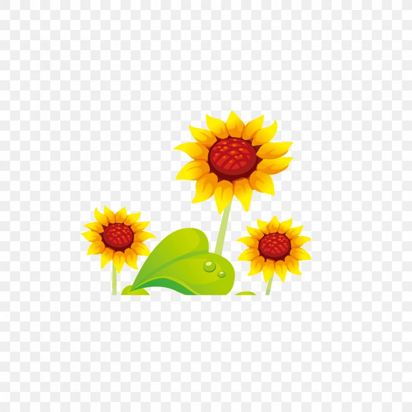 Common Sunflower Cartoon, PNG, 1417x1417px, Common Sunflower, Cartoon, Chrysanthemum, Chrysanthemum Indicum, Color Download Free
